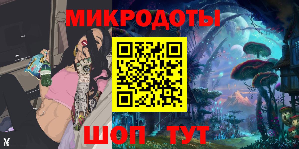 Галлюциногенные грибы Psilocybe Астрахань