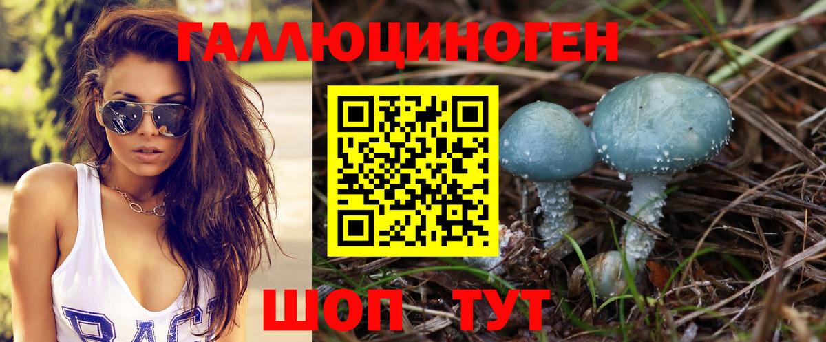 Псилоцибиновые грибы прущие грибы  Вход с VPN  Галлюциногенные грибы Psilocybe  Астрахань 